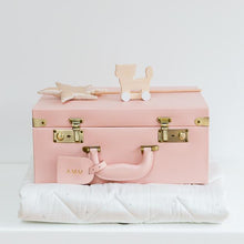 Load image into Gallery viewer, Leather Memory Case - Small Blush Pink
